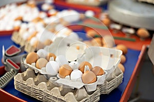 Eggs in modernized sorting shop