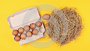 Eggs move from the nest to a cardboard box