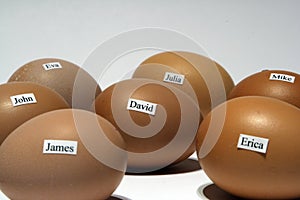 Eggs with names