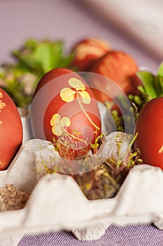 Eggs with natural pattern