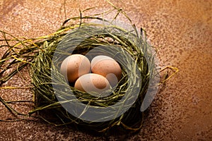 Eggs in the nest