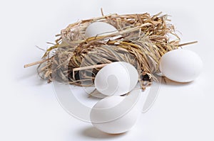 Eggs and nest