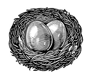 Eggs in Nest isolated on white background. Hand drawn sketch vintage illustration in engraving style