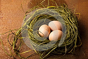 Eggs in the nest on a metallic background