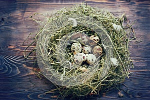 Eggs in the nest. Quail eggs. Nest on a wooden background