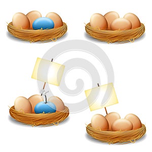 Eggs in Nest With Signs
