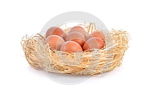 Eggs in a nest on white background.