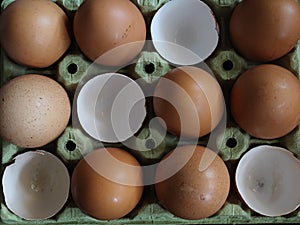 Eggs nutrition food shell hen clear yolk
