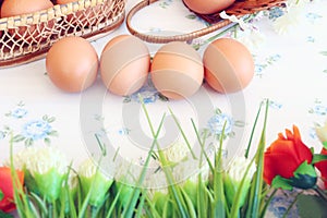 Eggs old vintage style