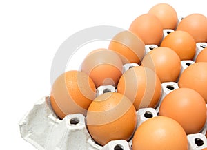 Eggs in the package