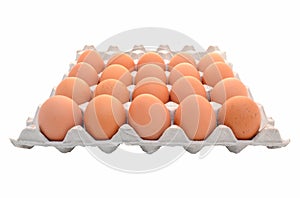 Eggs in the package