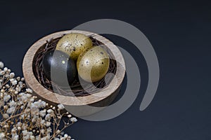 Eggs painted gold and black. Nest containing three egg with beautiful gypsophila flowers. Minimal Easter concept with