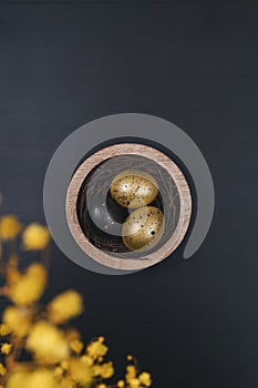 Eggs painted gold and black. Top view of nest containing three egg. Minimal Easter concept