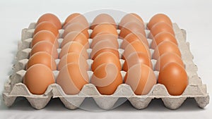 Eggs panel on white background