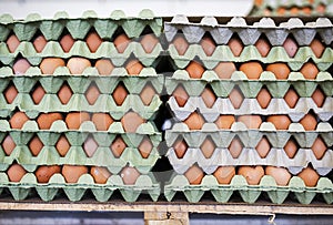 Eggs in paper box