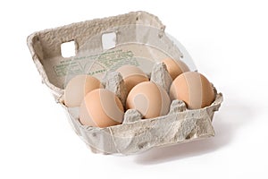 Eggs in paper egg carton