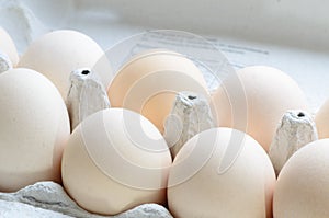 Eggs in paper egg carton