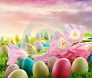 Eggs with pink tulips in the grass