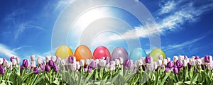Eggs pink and white Tulip on grassland blue sunny sky greeting Happy Eastern textspace