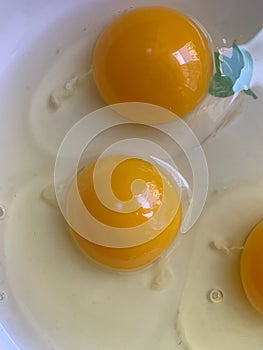 Eggs on a plate, egg yolks and white, broken eggs on a plate without shells