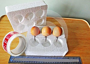 Eggs in polystyrene box for posting