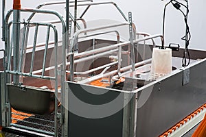 Eggs production incubator inside