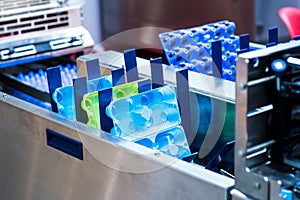 Eggs production incubator inside