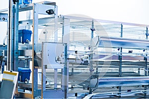 Eggs production incubator inside