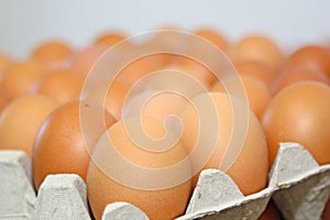 Eggs production line