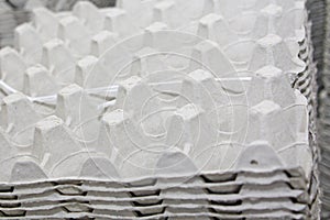 Eggs production line