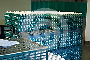 Eggs in a production line packing