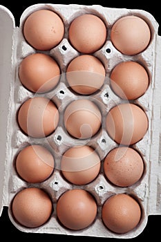 Eggs in a protective container