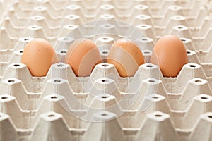 Eggs on rag. or cartons packing.