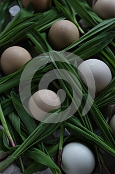 Eggs and Ramson on a table, wood garlic