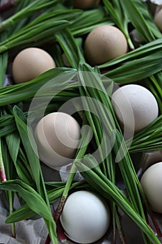 Eggs and Ramson on a table, wood garlic