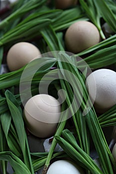 Eggs and Ramson on a table, wood garlic