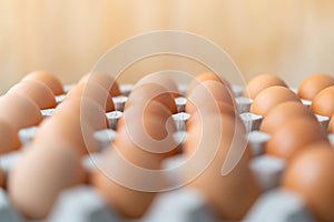 Eggs in recycle paper tray, food hoarding