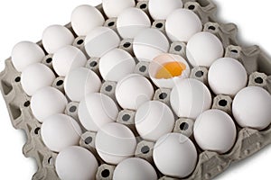 Eggs in a row