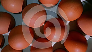 Eggs row on the eggtray