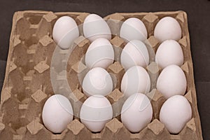 Eggs in a row inside a carton box. Side view