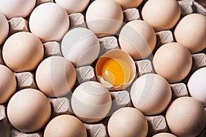 Eggs in row with one broken egg background