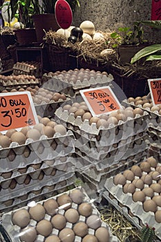 Eggs for sale