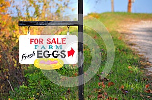 Eggs for sale sign