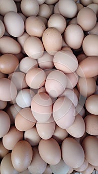 Eggs sale on the traditionil market daily