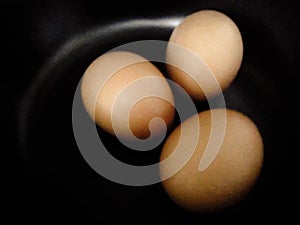 Eggs