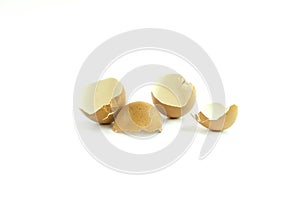 Eggs shells on white background