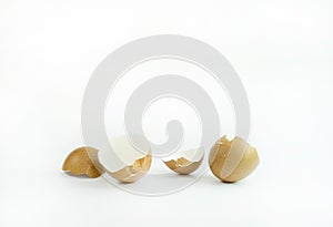Eggs shells on white background