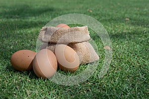 Eggs in a small burlap sack.