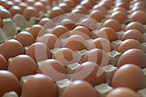 Eggs in the stalls are generally sold by Super.