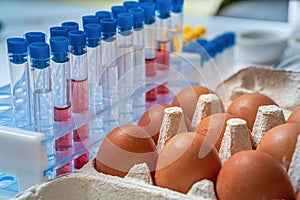 Eggs are tested for salmonella in laboratory. Food safety research.